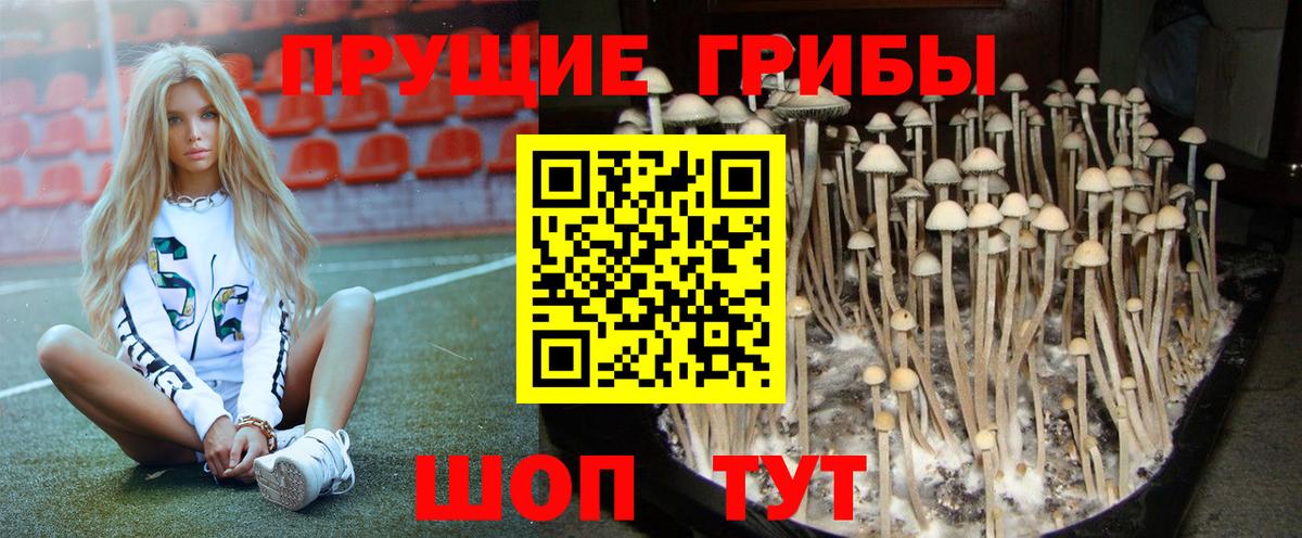 Протвино  Галлюциногенные грибы Magic Shrooms  Вход с VPN 